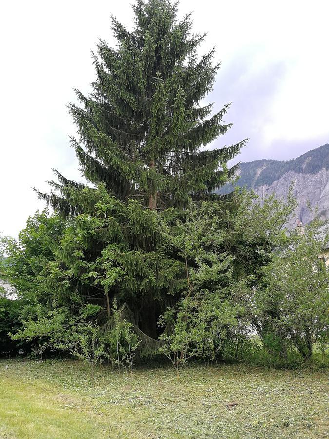 Le Bourg-dʼOisans Sport'Hotel - Residence De Milan מראה חיצוני תמונה